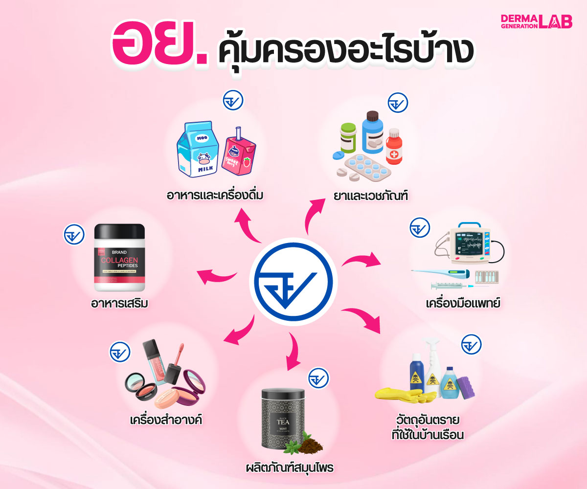 อย. คุ้มครองอะไรบ้าง