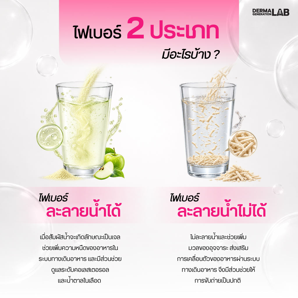 ไฟเบอร์ 2 ประเภท